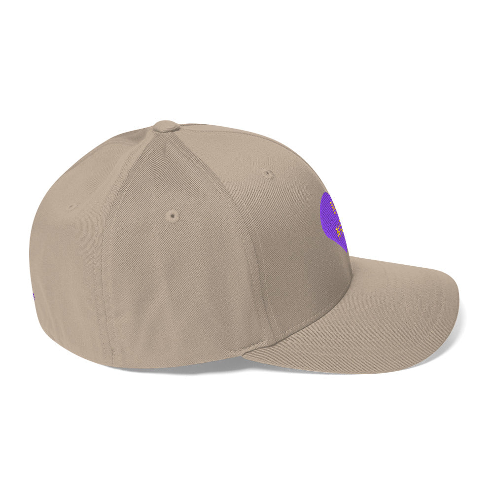 Be Nice - Embroidered Fitted Baseball Cap