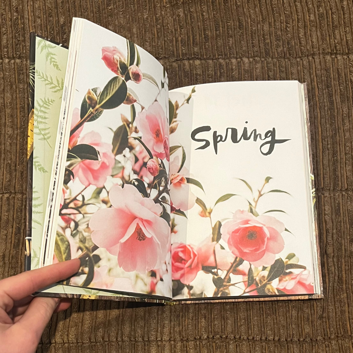 52 Lists Project: A Guided Self-Care Journal - Weekly Journaling Inspiration for Positivity, Balance, and Joy by Moorea Seal