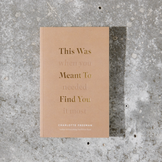 This Was Meant To Find You (When You Needed It Most) - Soft Cover, Regular Edition, by Charlotte Freeman, Published by Thought Catalog, 212 Pages