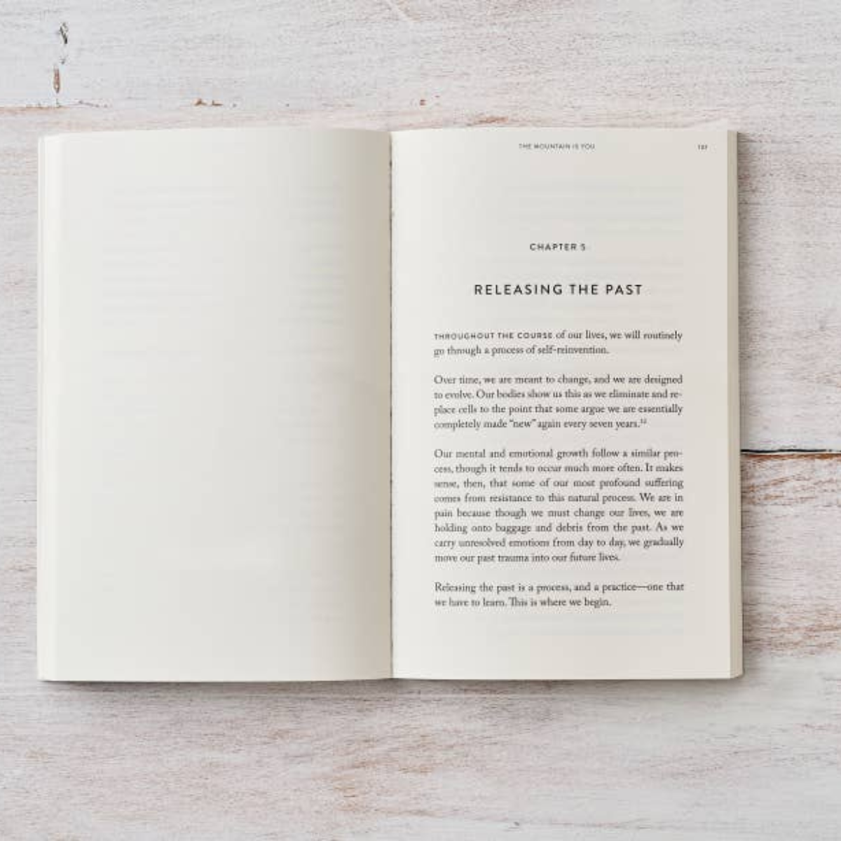 The Mountain Is You - Soft Cover/Paperback, Regular Edition, by Brianna Wiest, Published by Thought Catalog, 248 Pages