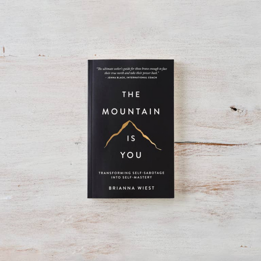 the mountain is you by brianna wiest